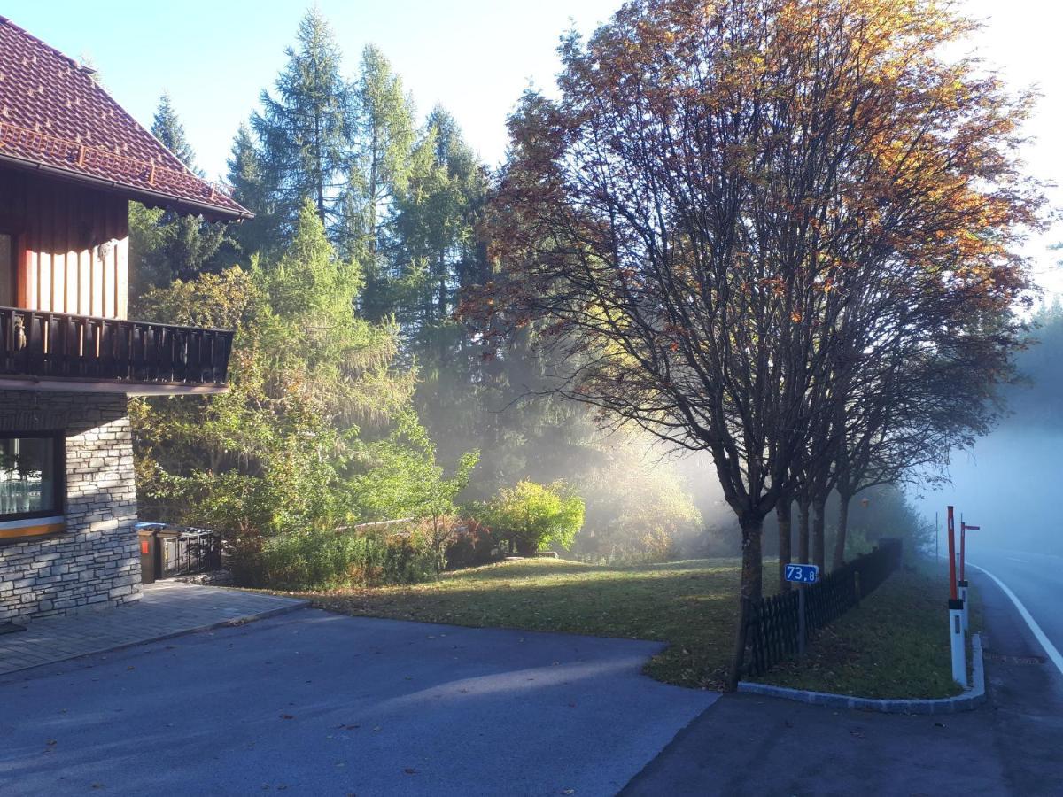 Ferienhaus Aloisia Sankt Michael im Lungau Eksteriør bilde